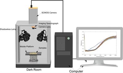 Modeling of flaxseed protein, oil content, linoleic acid, and lignan content prediction based on hyperspectral imaging